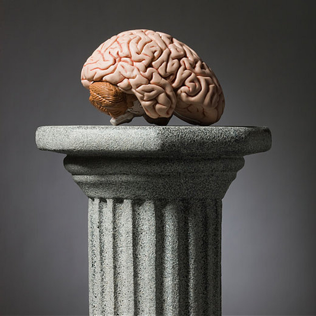 IQ là viết tắt của cụm từ "lntelligence Quotient” trong tiếng Anh, có nghĩa là chỉ số thông minh, được đề cập từ khi nào?