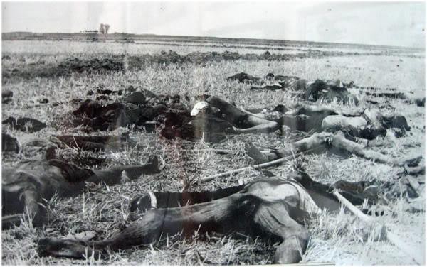 Ngày 18/4/1978, quân Khmer Đỏ vượt qua biên giới, bắt đầu tiến hành cuộc thảm sát nào tại tỉnh An Giang, Việt Nam?