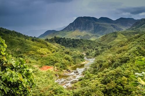 Madagascar “là nhà” của bao nhiêu loài động vật hoang dã?