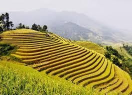 Vựa lúa của vùng Tây Bắc - Mường Thanh (Điện Biên) có dạng địa hình như thế nào?