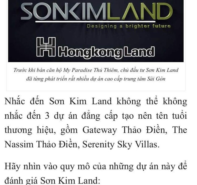 Rầm rộ rao bán dự án của người khác ảnh 4