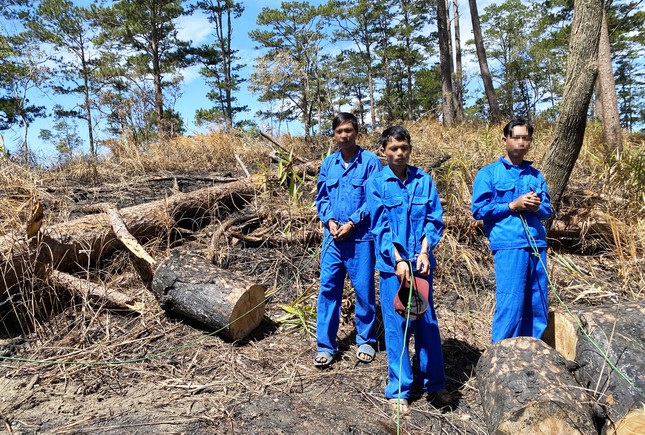 Điều tra vụ phá rừng, phát hiện 99 lóng gỗ lậu trong xưởng mộc ảnh 1