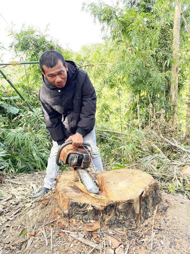 Bắt giam 9 nghi phạm trong 2 vụ phá rừng nổi cộm ở Lâm Đồng ảnh 3