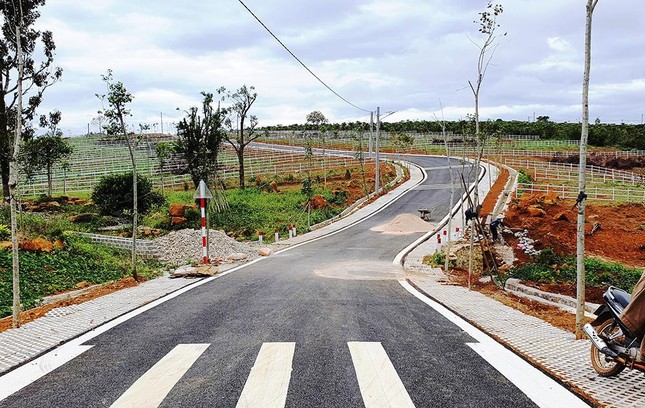 Lâm Đồng ‘cởi trói’ việc tách, hợp thửa đất sau hai năm tìm cách hạn chế ảnh 1