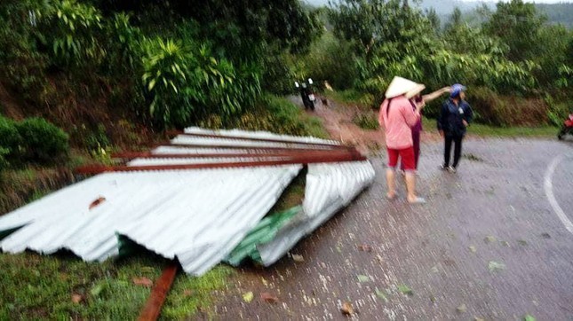 Lâm Đồng: Lốc xoáy tàn phá 'thủ phủ' sầu riêng ảnh 2