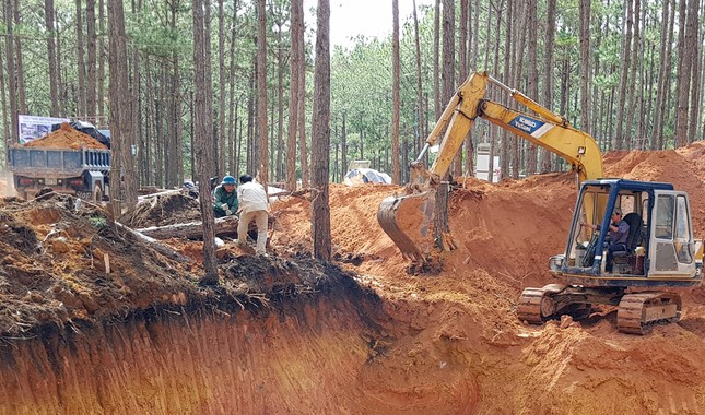 Cả chục doanh nghiệp 'băm nát' thắng cảnh quốc gia hồ Tuyền Lâm ảnh 1
