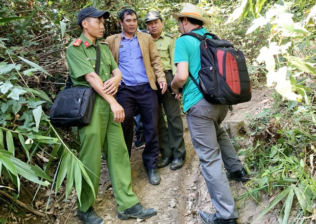 Rừng nguyên sinh bị tàn phá, gỗ lậu lọt vào nhà... Tổ trưởng bảo vệ rừng ảnh 6
