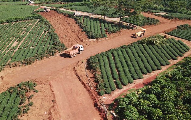 Bảo Lộc thành ‘điểm nóng’ đất đai, Chủ tịch, nguyên Chủ tịch thành phố bị thanh tra ảnh 2