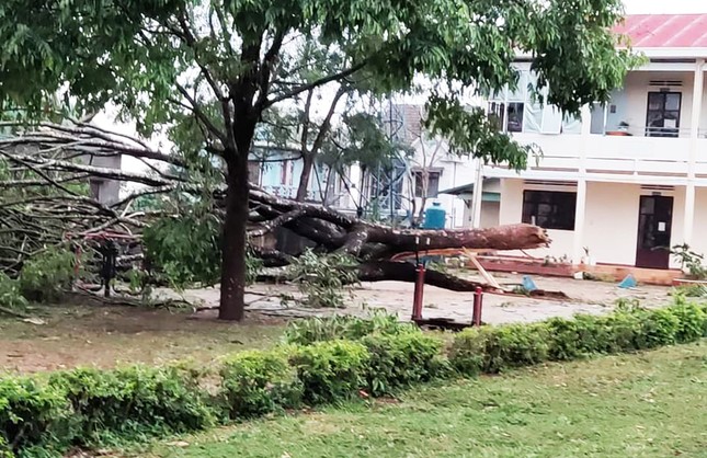 Sét đánh chết 1 người, lốc xoáy thổi bay 70 mái nhà ở Lâm Đồng ảnh 2