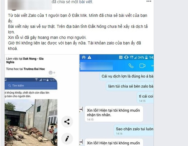 Phạt 10 triệu đồng người tung tin sai sự thật về dịch lợn ảnh 2