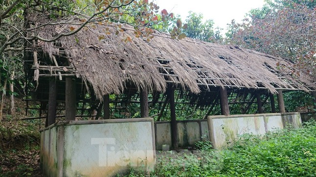 Khu di tích lịch sử cấp Quốc gia xuống cấp nghiêm trọng ảnh 15