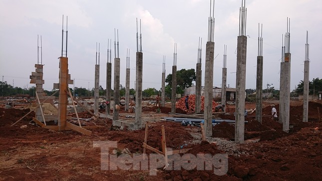 Đắk Lắk: Hàng loạt biệt thự xây dựng trên đất nông nghiệp ảnh 5