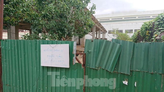 Bỏ hoang đất 'vàng' do năng lực yếu, hay cố tình không thu hồi? ảnh 1