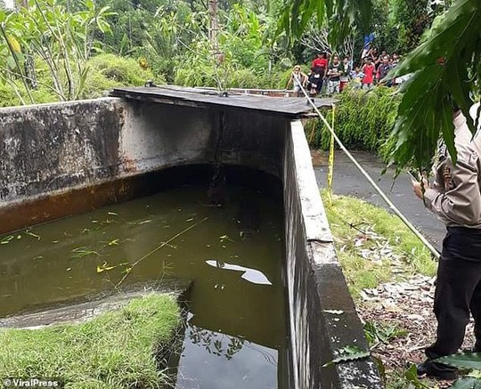 Cá sấu nhảy lên tường cao 2,5 m, giết chết nhà khoa học nữ ảnh 3