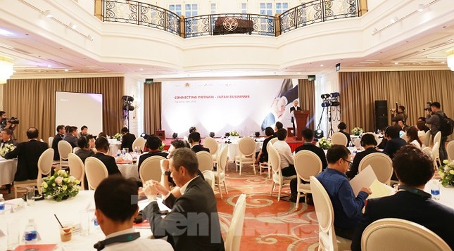 Giao lưu thể thao, kết nối doanh nghiệp Việt Nam - Nhật Bản ảnh 2