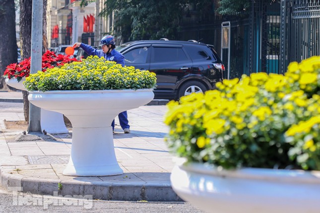 Hà Nội rực rỡ hoa chào mừng Đại hội Đảng lần thứ XIII ảnh 17