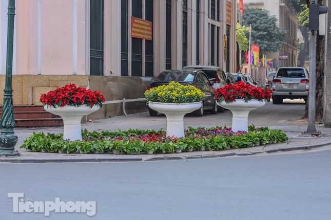 Hà Nội rực rỡ hoa chào mừng Đại hội Đảng lần thứ XIII ảnh 19