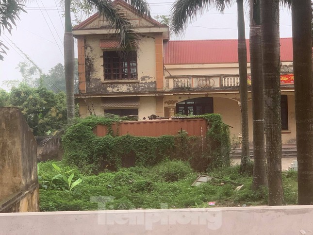 Lô gỗ sưa từng định giá 'trăm tỷ' giảm bao nhiêu sau 4 phiên đấu giá không thành? ảnh 2