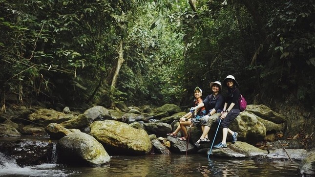 Choáng ngợp "kỳ quan" bên trong khu rừng đỗ quyên quý hiếm nhất Việt Nam ảnh 12