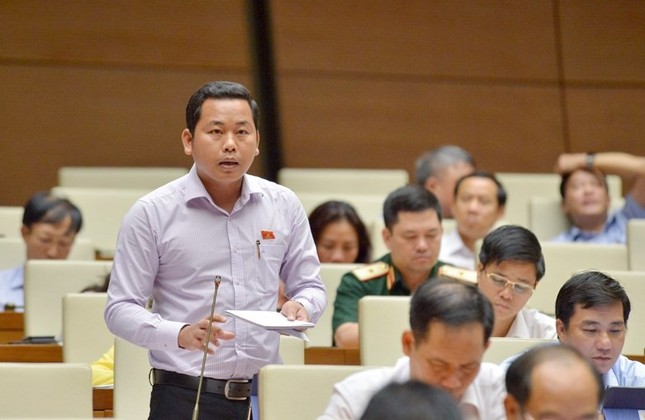 Chất vấn Bộ trưởng Công Thương về sản phẩm cài cắm 'đường lưỡi bò' ảnh 5