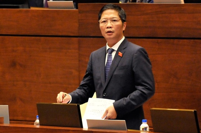 Chất vấn Bộ trưởng Công Thương về sản phẩm cài cắm 'đường lưỡi bò' ảnh 2