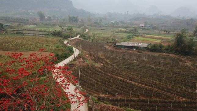 Tạm biệt Lai Châu, hẹn ngày trở lại! ảnh 149