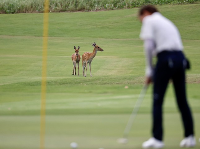  Golfer Nguyễn Nhất Long độc chiếm ngôi đầu sau ngày thi đấu thứ hai ảnh 60
