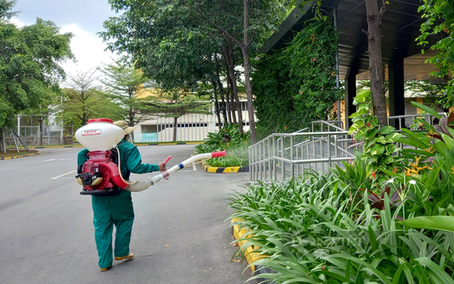 Bình Dương: Cảnh báo có trẻ tử vong do sốt xuất huyết, nhiều gia đình vẫn tự mua thuốc điều trị ảnh 2