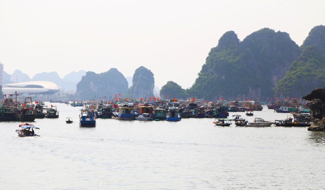 Quảng Ninh bắt đầu cấm biển, trên 1.000 người ứng trực chống bão ảnh 1