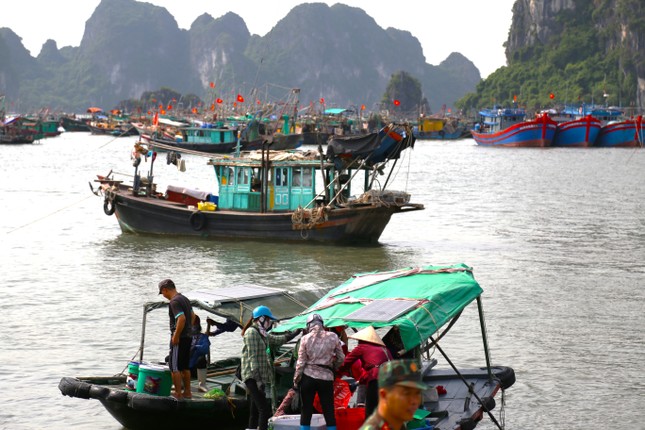 Quảng Ninh bắt đầu cấm biển, trên 1.000 người ứng trực chống bão ảnh 2