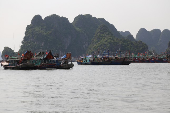 Quảng Ninh bắt đầu cấm biển, trên 1.000 người ứng trực chống bão ảnh 6