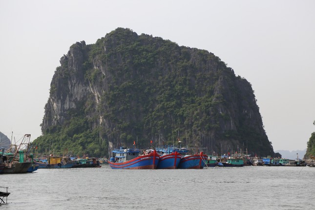Quảng Ninh bắt đầu cấm biển, trên 1.000 người ứng trực chống bão ảnh 8