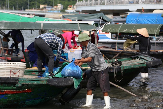 Quảng Ninh bắt đầu cấm biển, trên 1.000 người ứng trực chống bão ảnh 10