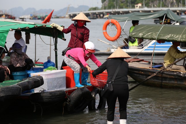 Quảng Ninh bắt đầu cấm biển, trên 1.000 người ứng trực chống bão ảnh 3