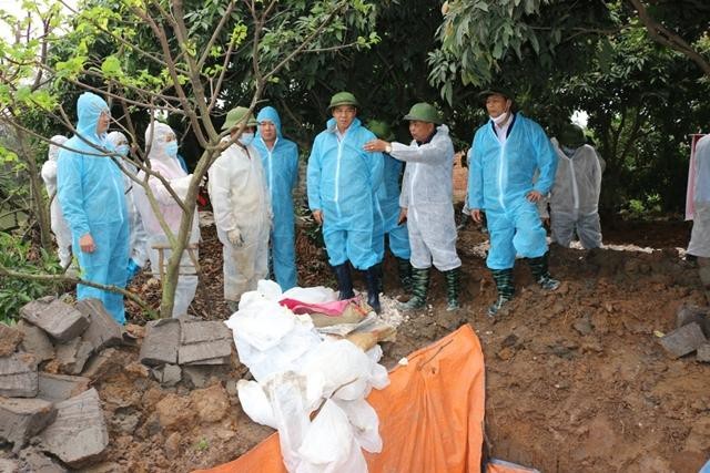 Quảng Ninh công bố dịch tả lợn châu Phi ảnh 1