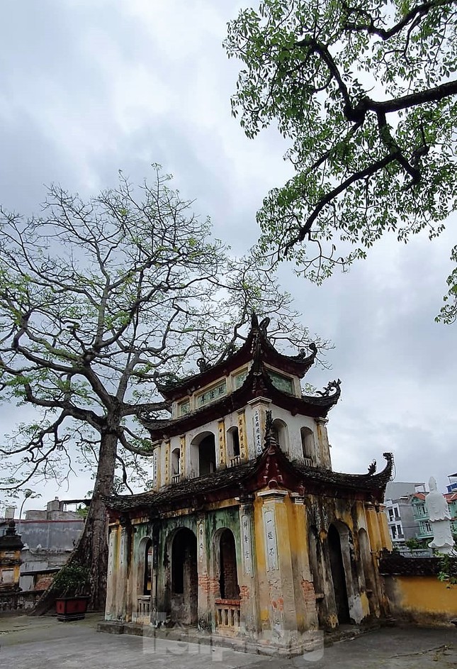 Chính quyền lên tiếng vụ sư trụ trì dọa thả chó cắn 'nát mặt' phật tử ảnh 1