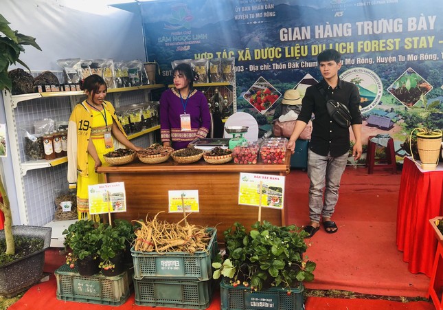 Chiêm ngưỡng củ sâm Ngọc Linh 'khủng' được bán cho đại gia Quảng Nam ảnh 5