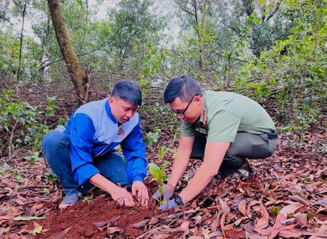 Thanh niên Pleiku và Công an tỉnh Gia Lai trồng hàng ngàn cây xanh ảnh 1