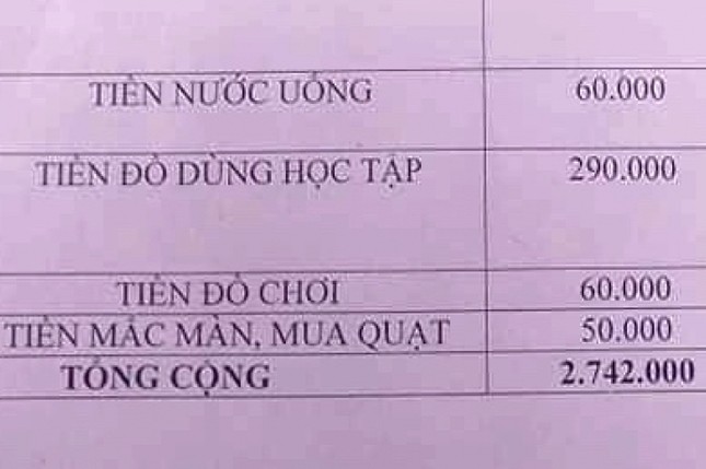 Gia Lai: Trường mầm non thu tiền mắc màn, hiệu trưởng nói gì? ảnh 1