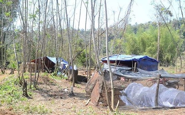Bị triệu tập điều tra, trưởng phòng đột nhiên... tâm thần? ảnh 4