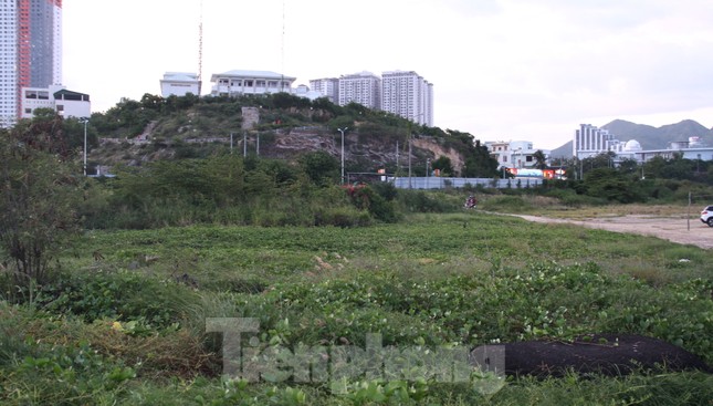 Khánh Hoà yêu cầu thu hồi siêu dự án 33 triệu đô lấn Vịnh Nha Trang ảnh 5