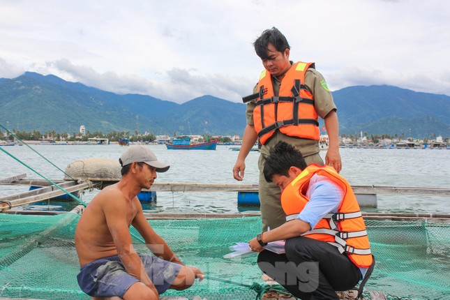 Khánh Hoà chạy đua ứng phó trước giờ 'cuồng phong' số 12 đổ bộ ảnh 3