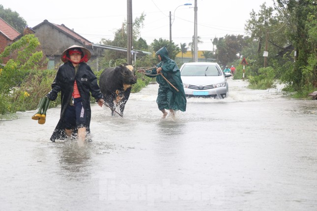 Nước lũ dâng cao, nhiều khu dân cư ở Phú Yên bị chia cắt ảnh 1