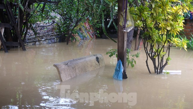 Dân Nha Trang “vật lộn” di chuyển trên những con đường ngập chìm trong nước ảnh 7