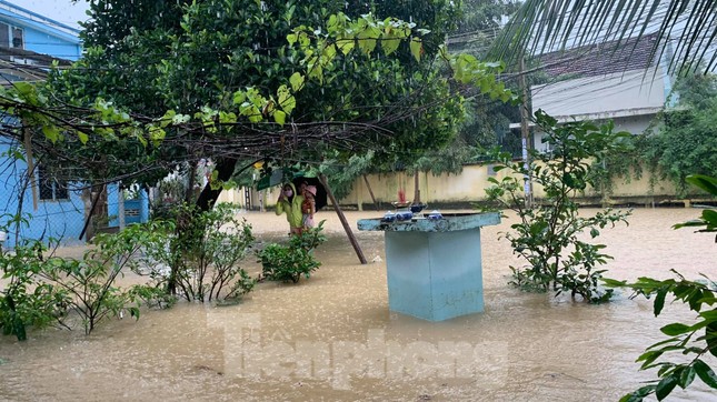 Dân Nha Trang “vật lộn” di chuyển trên những con đường ngập chìm trong nước ảnh 6