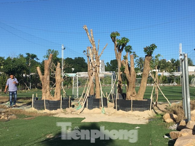 Khánh Hoà chỉ đạo kiểm tra vụ cho thuê 'đất vàng' Cam Ranh với giá bèo ảnh 1