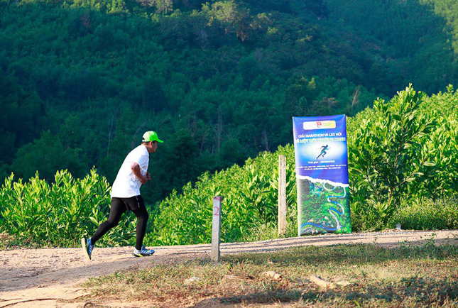 Tỉnh Đoàn Khánh Hòa tổ chức giải Marathon và leo núi 'Vì một môi trường xanh' ảnh 1