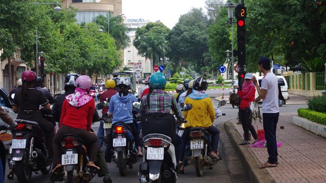 Những chiêu độc tận diệt chim trời