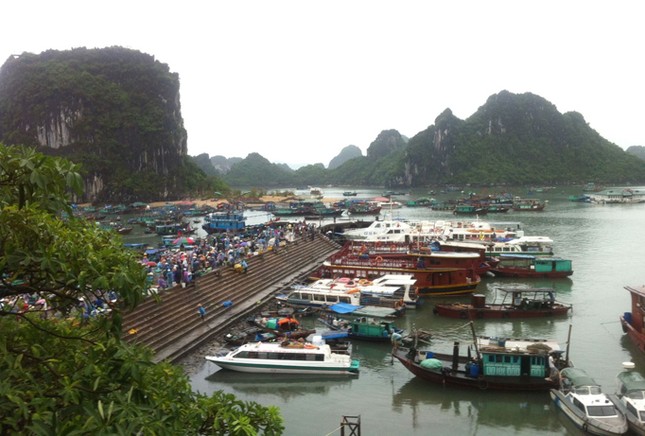Thương cảng Vân Đồn ảnh 1