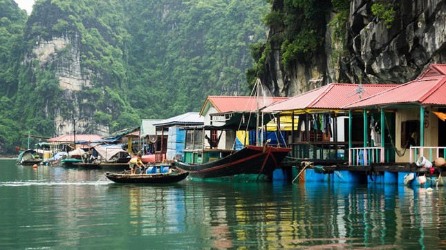 Hạ Long tương phản - Kỳ cuối: Đau đáu ước mơ lại về với biển ảnh 3